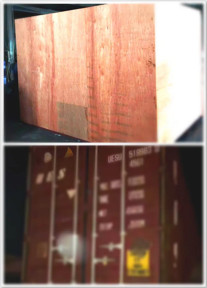 Die Cutting Press and Creasing Manual Machine