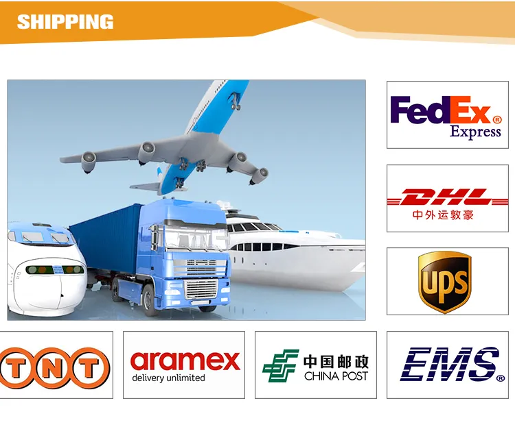 Professional Manufacturer Paper Cutter (WD-490R) Hydraulic Paper Cutting Machine