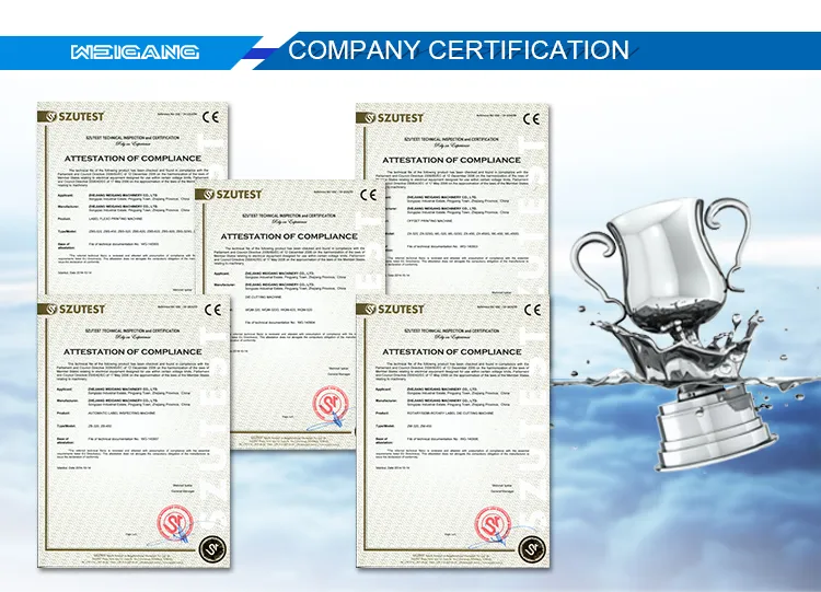 Wqm-420 Roll to Roll / Roll to Sheet / Label Die Cutting Machine with Hot Stamping / Lamination / Punching Function