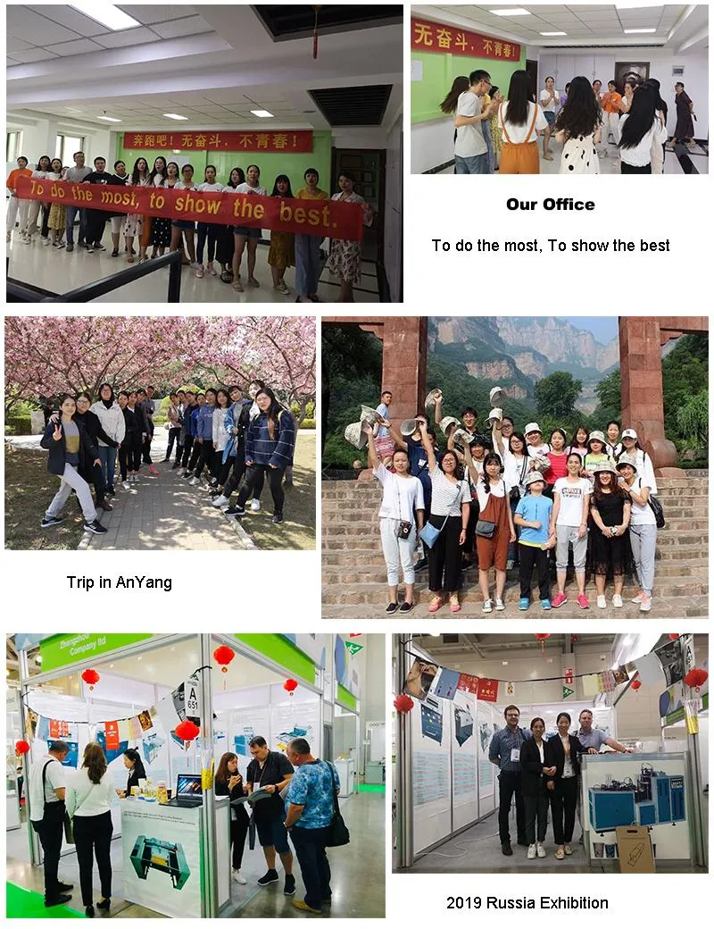 Zomagtc Paper Striping Machine for After Die Cutting Striping